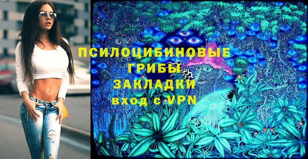 стафф Алзамай