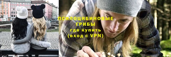 spice Алексеевка