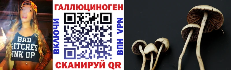 Псилоцибиновые грибы Psilocybine cubensis  наркотики  Крымск 