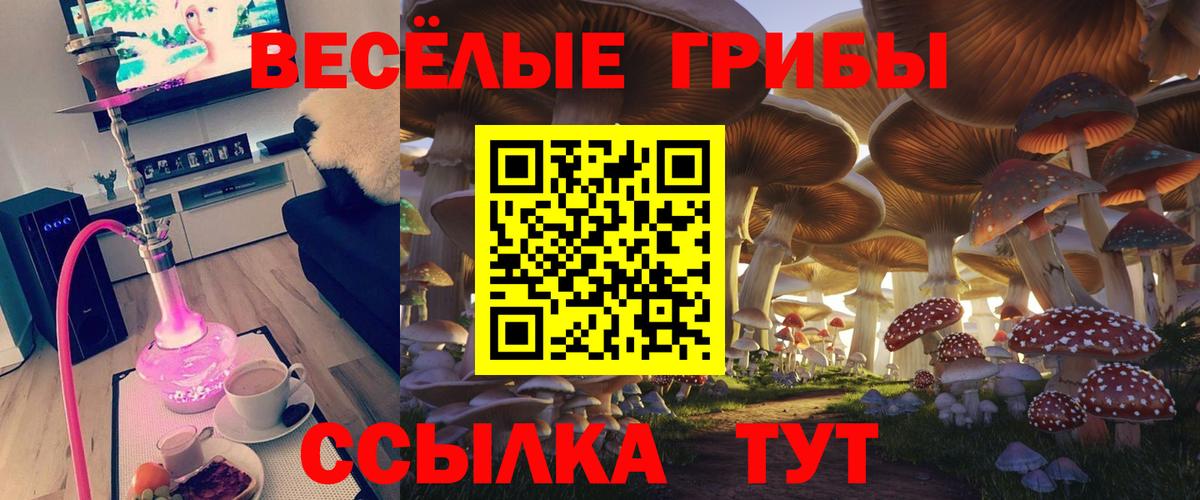Крымск  Галлюциногенные грибы Psilocybe  Вход с VPN 